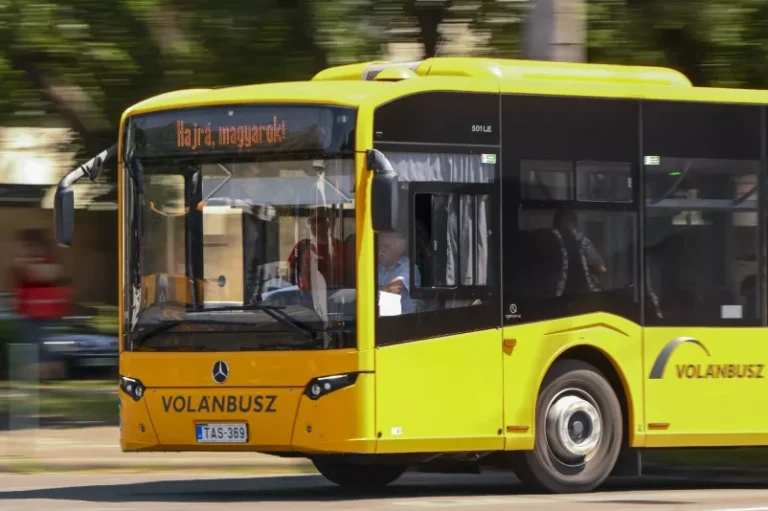 buszos