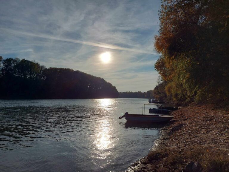 tisza