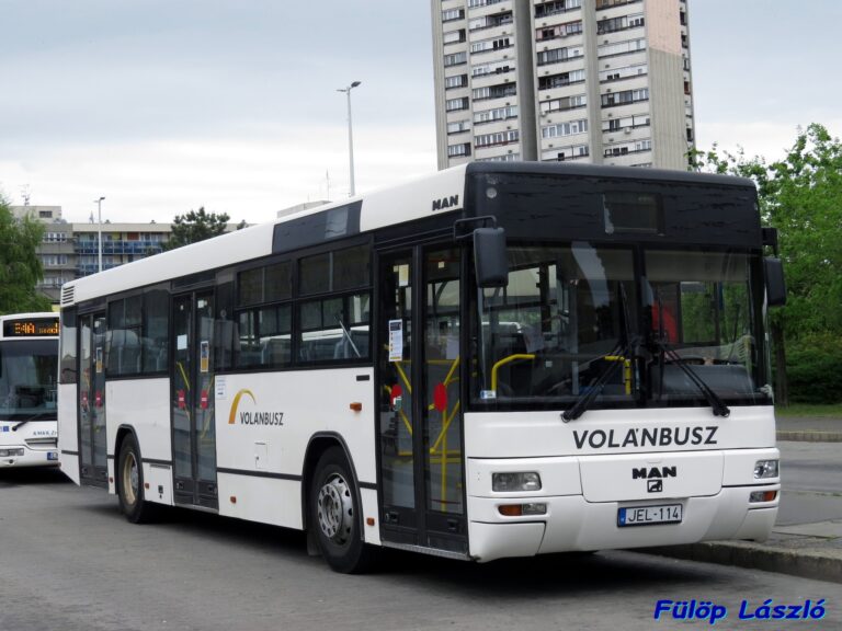busz