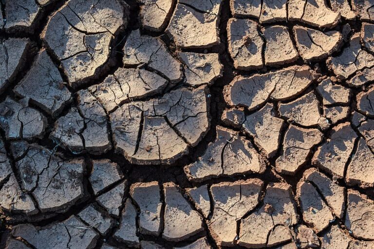 drought-aridity-aridness-nature