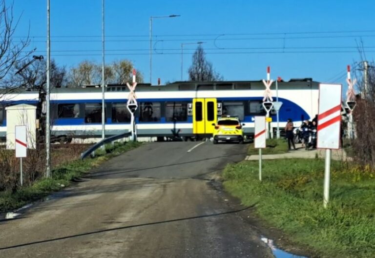 gázol