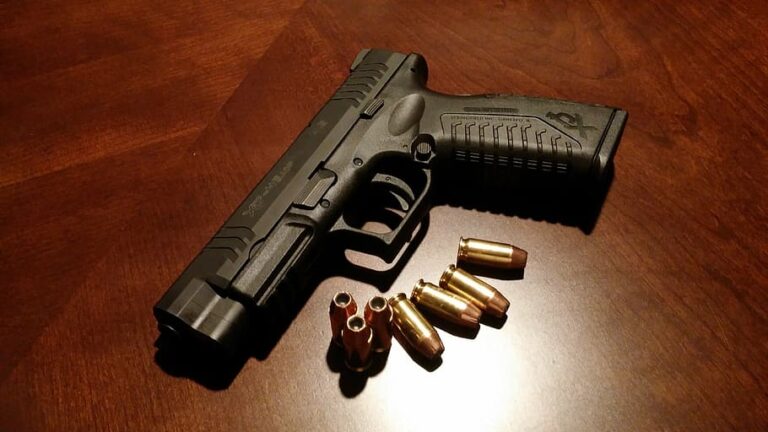 handgun-firearms-pistol-gun