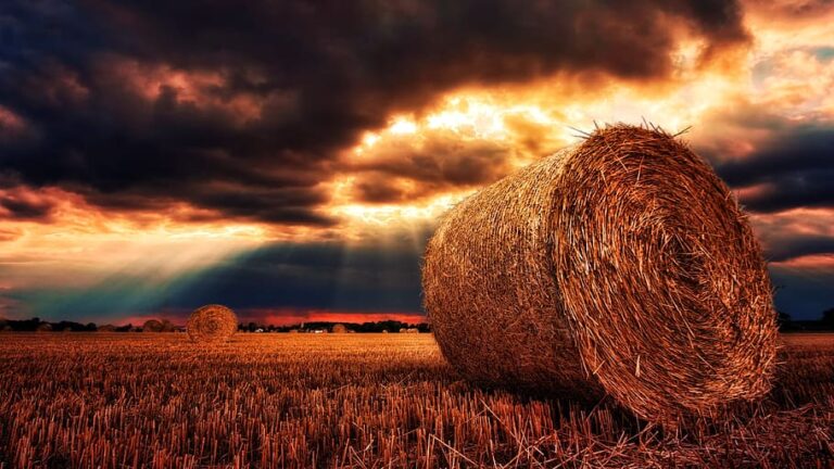 nature-sunset-dawn-sky