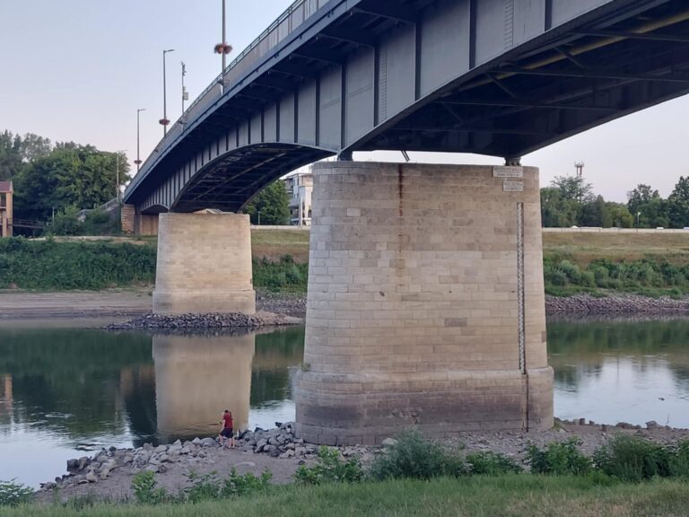 tisza295