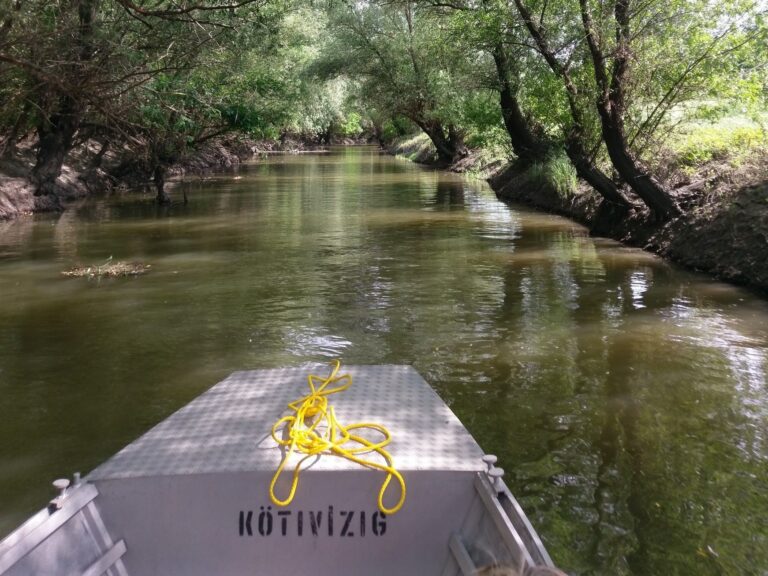 vizkivét